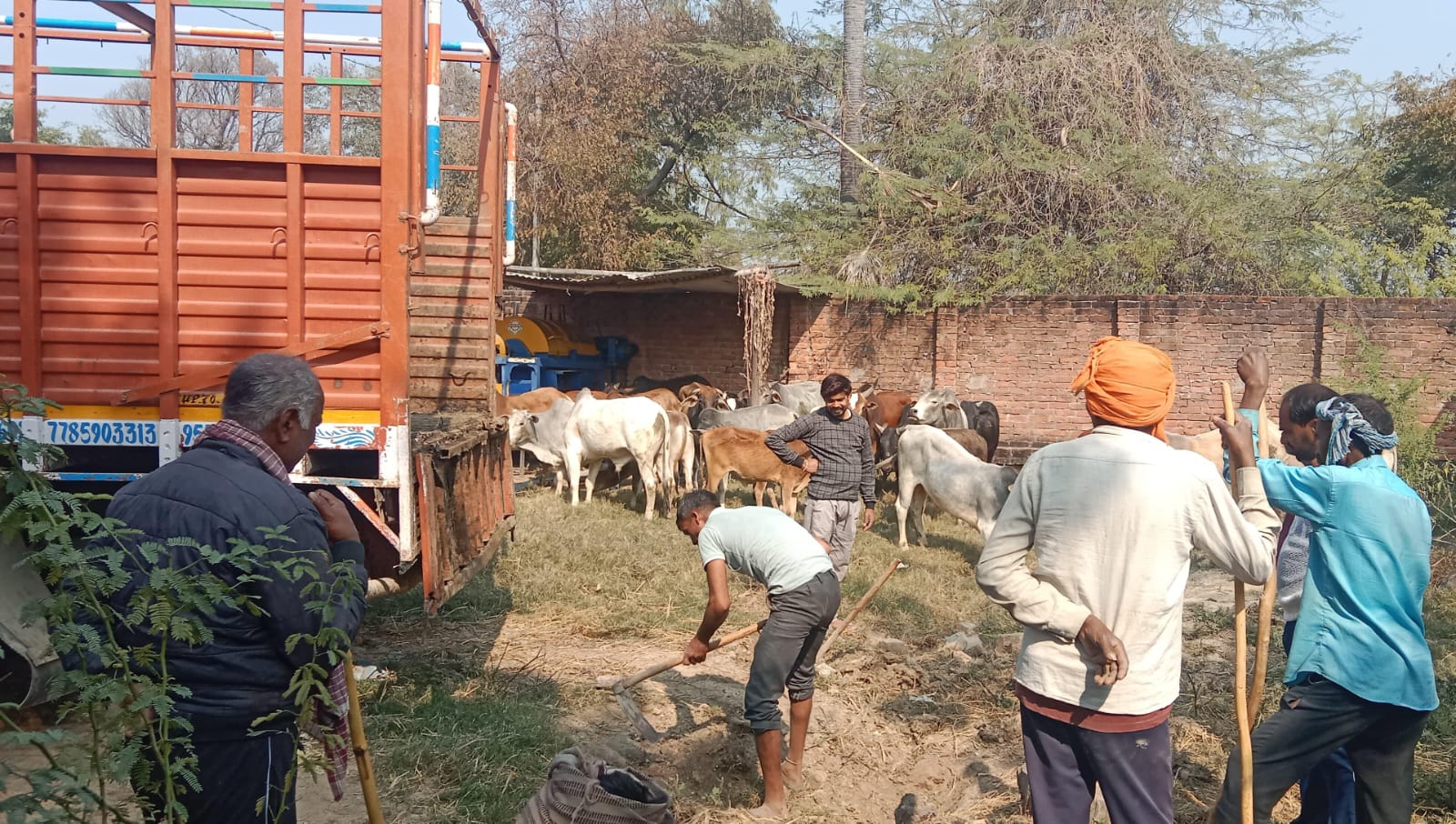 *किसानों को बड़ी राहत:* उतरार गोगहर में 68 आवारा पशु पकड़े गए, देवली गौशाला भेजे गए