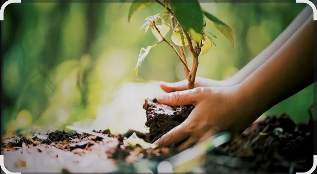 हरित भारत अभियान को मिल रही नई गति, जनभागीदारी से पर्यावरण संरक्षण को मिलेगा बल